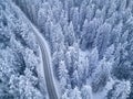 Snowy Road in the Forest night birdÃ¢â¬â¢s eye view Royalty Free Stock Photo